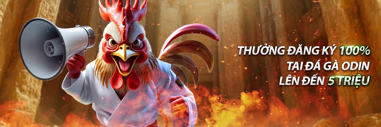 Hình ảnh gà chọi mạnh mẽ, biểu tượng của chiến kê.