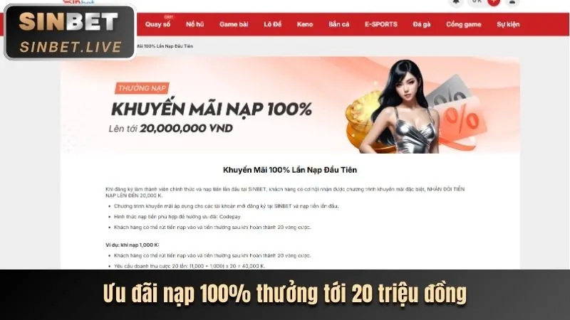 Hình ảnh đại diện nền tảng cá cược ue9 Sinbet uy tín và hiện đại